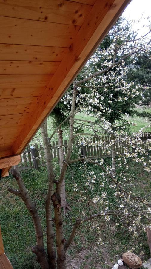 Pokoje U Adama Grajoka Szczawnica Dış mekan fotoğraf