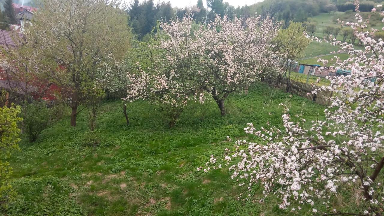 Pokoje U Adama Grajoka Szczawnica Dış mekan fotoğraf