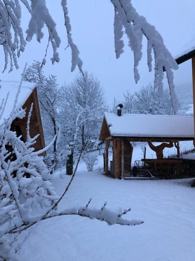 Pokoje U Adama Grajoka Szczawnica Dış mekan fotoğraf