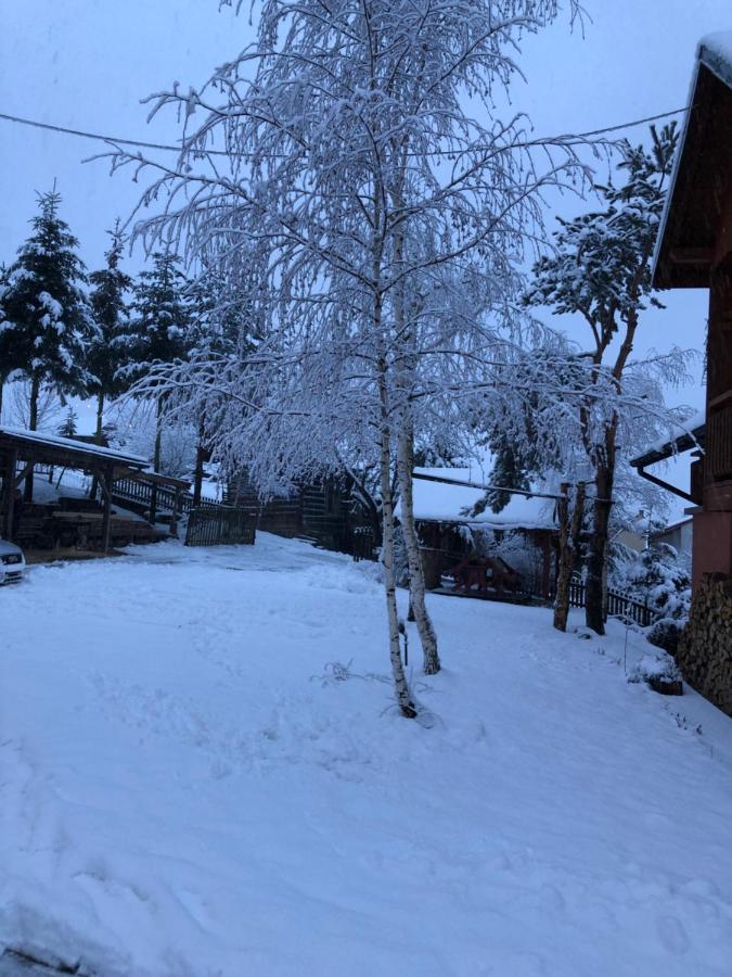 Pokoje U Adama Grajoka Szczawnica Dış mekan fotoğraf
