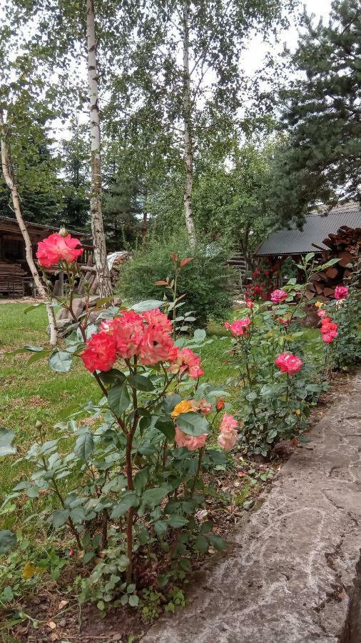 Pokoje U Adama Grajoka Szczawnica Dış mekan fotoğraf