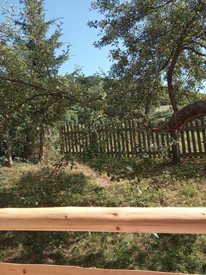 Pokoje U Adama Grajoka Szczawnica Dış mekan fotoğraf
